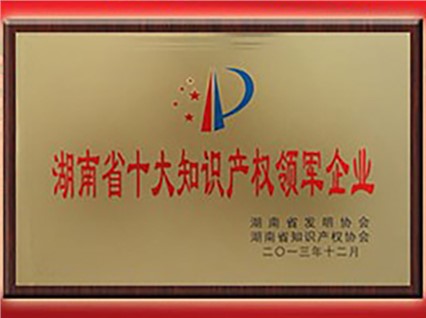 熱烈慶祝“湘潭恒欣”被評為“首屆湖南省十大知識產權領軍企業”