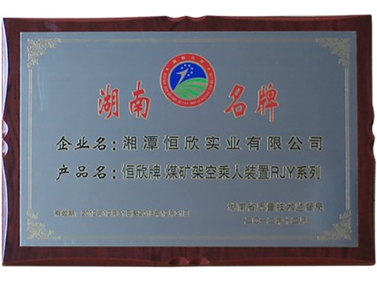 熱烈慶祝公司順利通過湖南名牌復審，現已授牌
